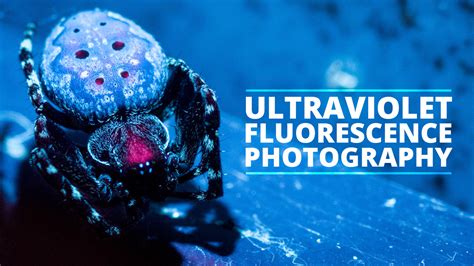 uv fluorescence